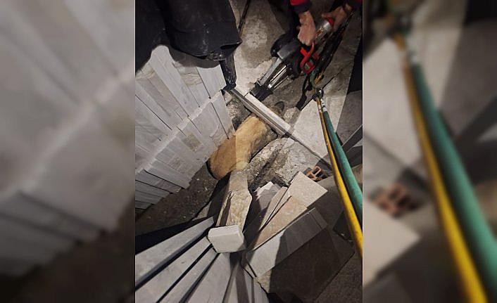 Tokat'ta kapı demirinin altında sıkışan köpeği itfaiye kurtarıldı