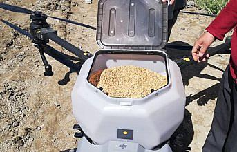 Hanönü'de dron ile çeltik ekimi yapıldı