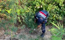Sinop'ta uyuşturucu operasyonunda 3 zanlı yakalandı