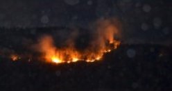 Yakakent'de Orman Yangını