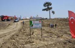 ANTALYA - Gurbetçilerin bağışladığı 250 bin fidan Türkiye'de yanan ormanlık alanları yeşertecek