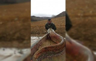 Baraj gölünde 81 kilogramlık yayın balığı yakalandı
