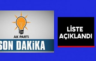 Ak Parti Samsun Milletvekili Adayları