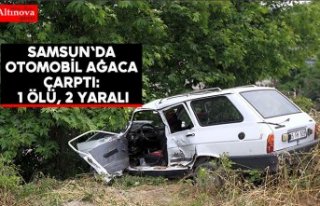Samsun'da otomobil ağaca çarptı: 1 ölü,...