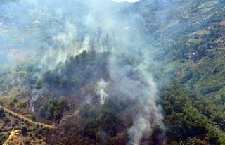Trabzon'da çalılık yangını