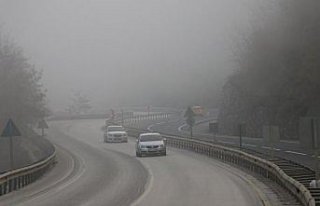 Batı Karadeniz'de yoğun sis etkili oldu
