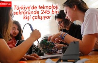 Türkiye'de teknoloji sektöründe 245 bin kişi...