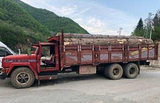 Artvin'de 10 metreküp kaçak orman emvali ele geçirildi