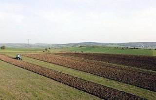 Karabük'te tarımsal üretimde yüzde 20 artış...