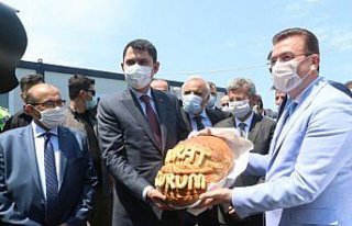 Çevre ve Şehircilik Bakanı Kurum, Trabzon'da incelemelerde...