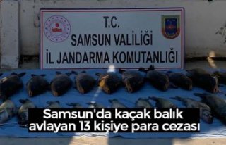 Samsun'da kaçak balık avlayan 13 kişiye para...