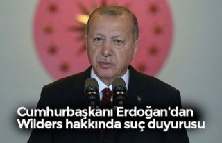 Cumhurbaşkanı Erdoğan'dan Wilders hakkında...