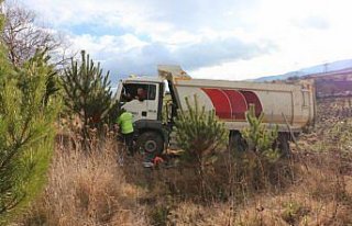 Bolu'da şarampole devrilen hafriyat kamyonunun sürücüsü...