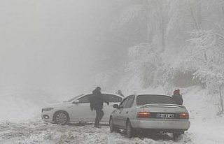 Sakarya, Kocaeli, Bartın ve Zonguldak'ta kar yağışı...