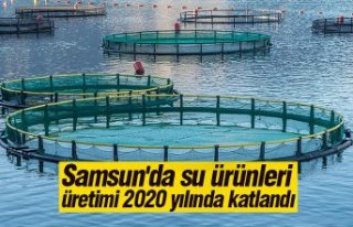 Samsun'da su ürünleri üretimi 2020 yılında...