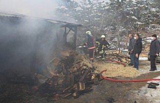 Tosya'da ev yangını