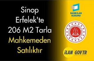 Sinop Erfelek'te 206 m2 tarla mahkemeden satılıktır