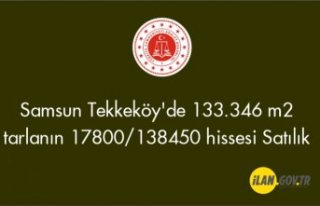 Samsun Tekkeköy'de 133.346 m2 tarlanın 17800/138450...