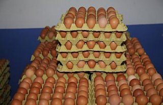 Ordu'da üretilen organik yumurtalar Dubai'de tüketiciyle...