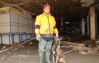 Bozkurt'taki çalışmalara arama kurtarma köpekleri...