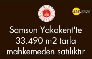 Samsun Yakakent'te 33.490 m2 tarla mahkemeden...