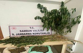 Samsun'da uyuşturucu operasyonunda 14 kişi gözaltına...
