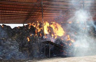 Amasya'da besi çiftliğinde çıkan yangına müdahale...