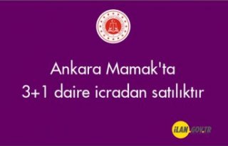 Ankara Mamak'ta 3+1 daire icradan satılıktır