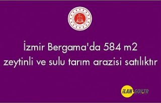 İzmir Bergama'da 584 m² zeytinli ve sulu tarım...
