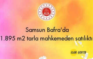 Samsun Bafra'da 1.895 m² tarla mahkemeden satılıktır