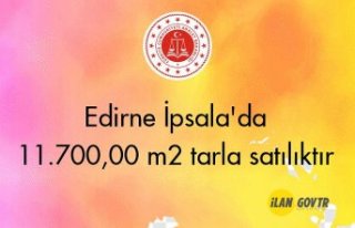 Edirne İpsala'da 11.700,00 m² tarla icradan...