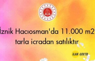 İznik Hacıosman'da 11.000 m2 tarla icradan...