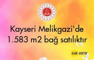 Kayseri Melikgazi'de 1.583 m² bağ mahkemeden...