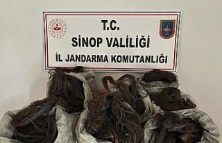 Sinop'ta kablo hırsızlığı operasyonunda 3 zanlı...