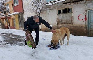 Gümüşhacıköy'de polis ekiplerinden sokak hayvanlarına...