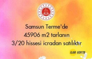 Samsun Terme'de 45906 m² tarlanın 3/20 hissesi...