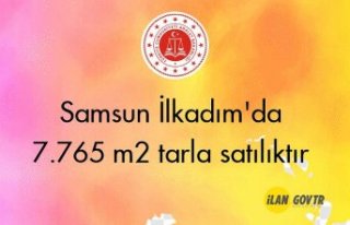 Samsun İlkadım'da 7.765 m² tarla mahkemeden...