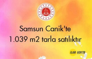 Samsun Canik'te 1.039 m² tarla mahkemeden satılıktır