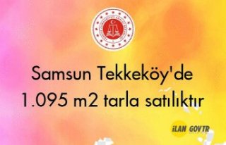 Samsun Tekkeköy'de 1.095 m² tarla icradan satılıktır