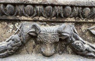 Sinop'ta 2 bin 500 yıllık boğa başı figürlü...
