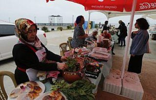 Samsun'da “Ot Yemekleri Festivali“ başladı