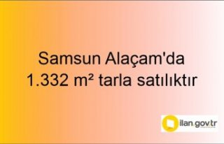 Samsun Alaçam'da 1.332 m² tarla icradan satılıktır