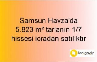 Samsun Havza'da 5.823 m² tarlanın 1/7 hissesi...