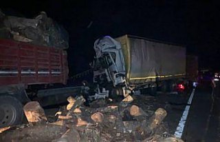 Bolu'da kamyona çarpan tırın sürücüsü öldü,...