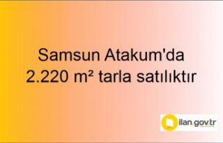 Samsun Atakum'da 2.220 m² tarla mahkemeden satılıktır