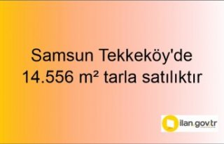 Samsun Tekkeköy'de 14.556 m² tarla mahkemeden...