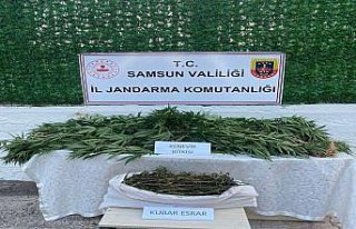 Samsun'da uyuşturucu operasyonlarında 32 zanlı...