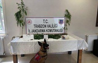 Trabzon'da uyuşturucu operasyonlarında 2 şüpheli...