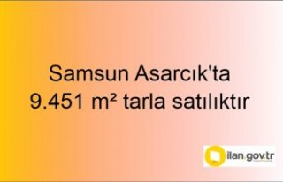 Samsun Asarcık'ta 9.451 m² tarla mahkemeden...