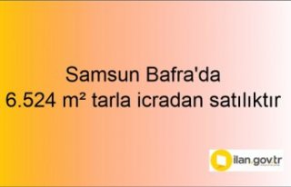 Samsun Bafra'da 6.524 m² tarla icradan satılıktır